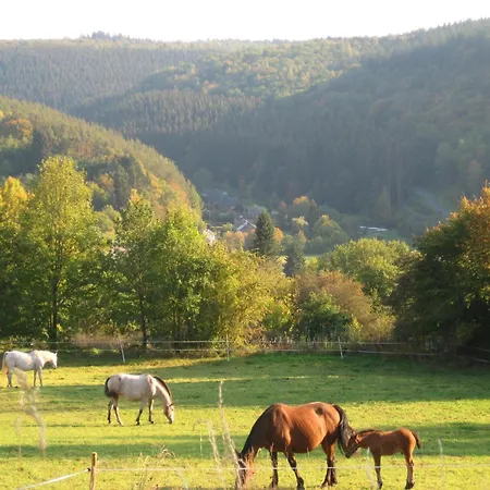 Scenic In Vencimont, Cleaning Included Casa vacanze *
